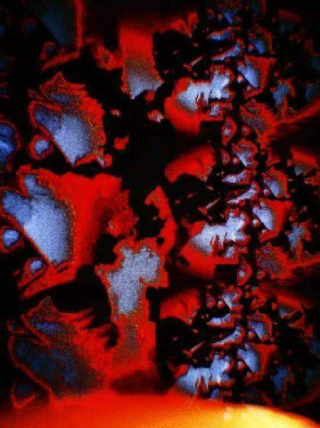 ������Ʒ