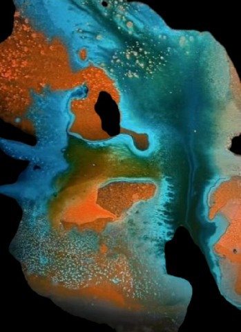 ������Ʒ