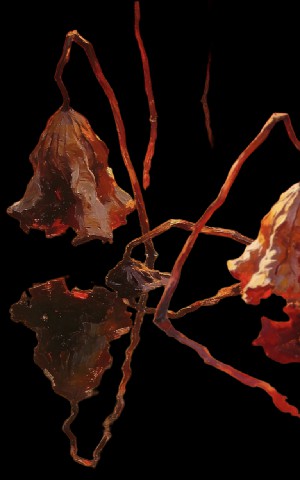 ������Ʒ